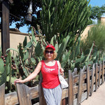 Margarita, 66