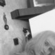 ��������, 35