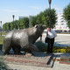 Georgii, 66