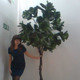 aleks�, 31