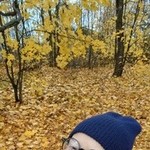 ����, 52