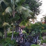 �����, 36