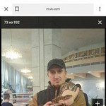 �������, 37