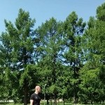 ����, 53