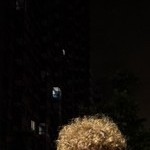 Ali Yusupov, 21